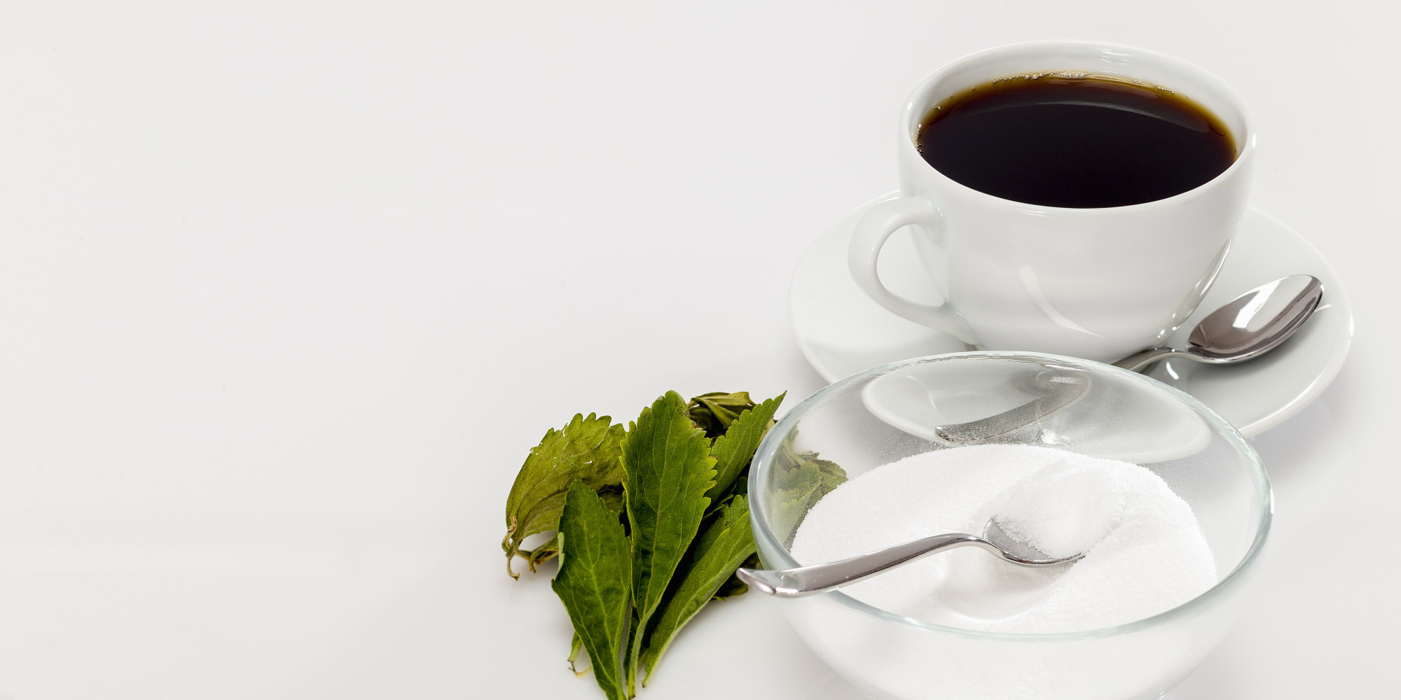 o-STEVIA-facebook.jpg